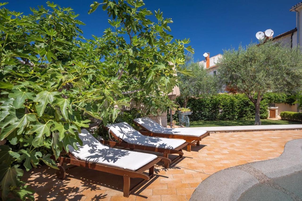 Family Villa Elizabeta With Pool In Umag Cepljani Exterior photo